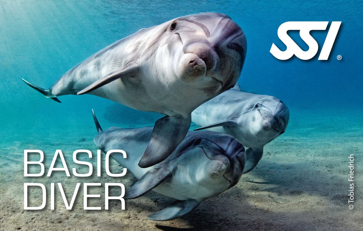 SSI Basic Diver kurs görseli