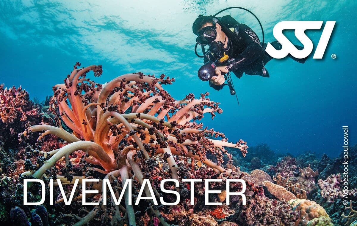 SSI Divemaster kurs görseli