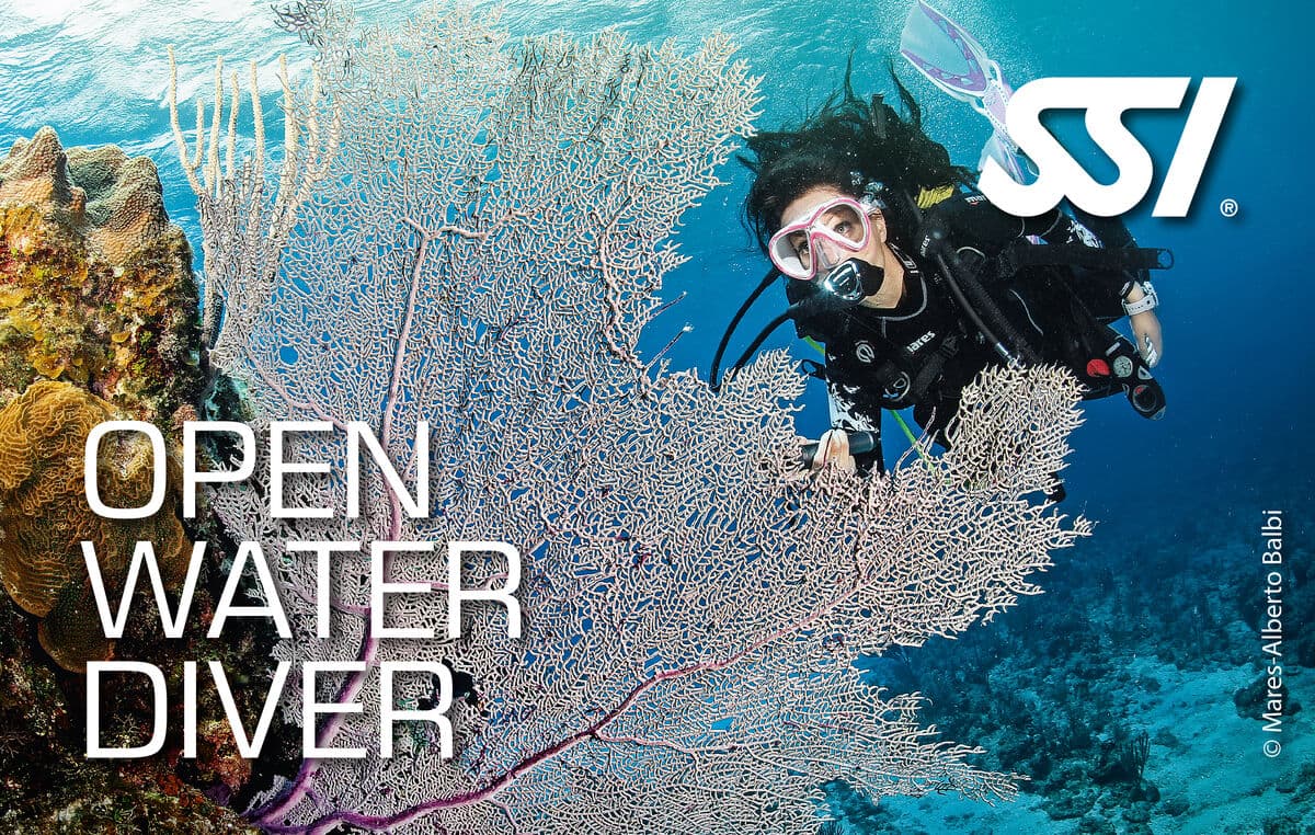 SSI Open Water Diver kurs görseli