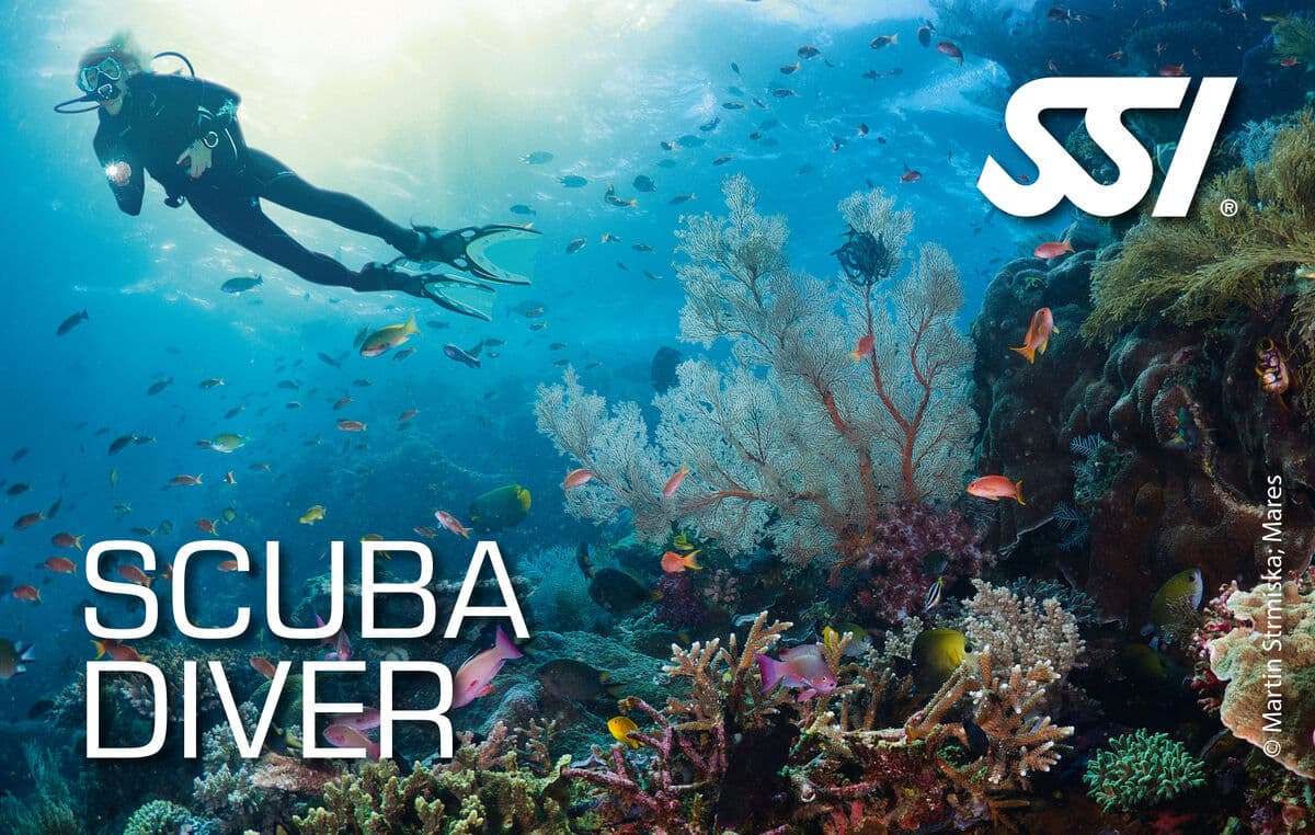 SSI Scuba Diver kurs görseli