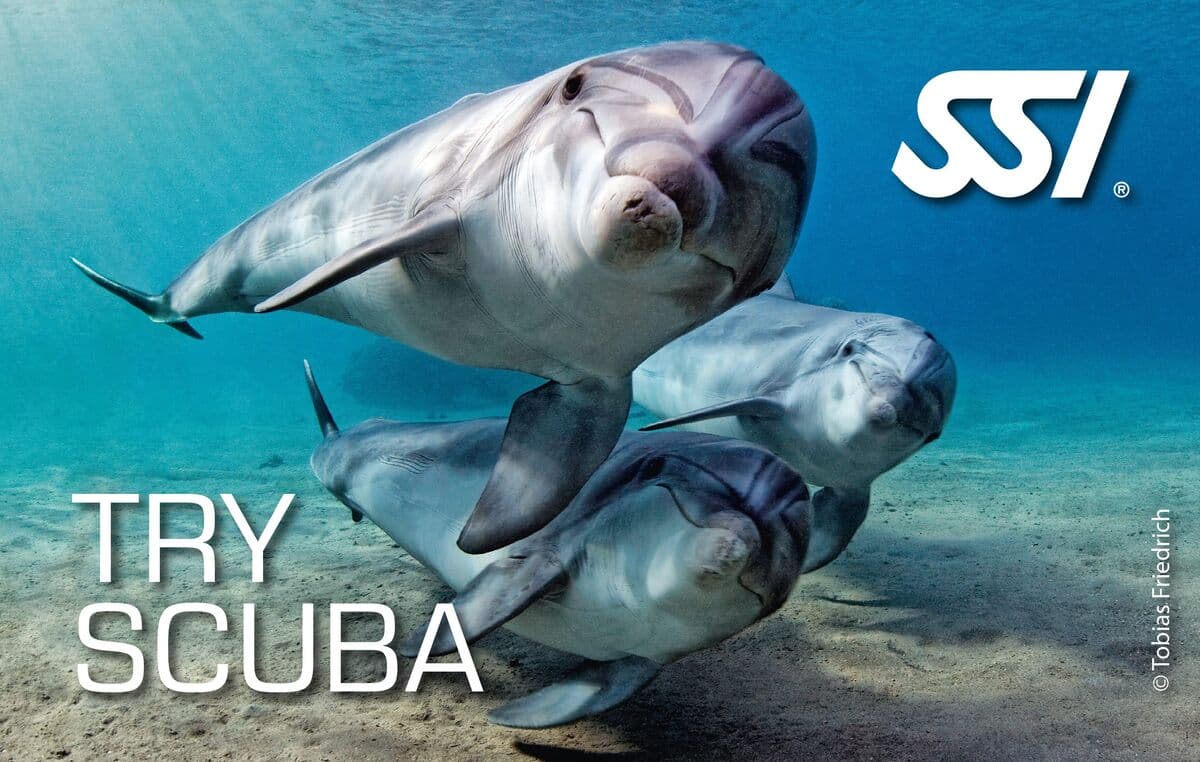 SSI Try Scuba kurs görseli